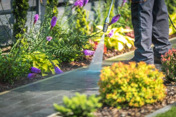 Best Sidewalk and Walkway Cleaning  in Eminence, KY